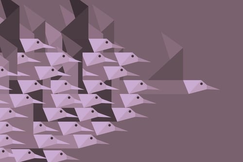 formal-leadership-in-community-context-birds