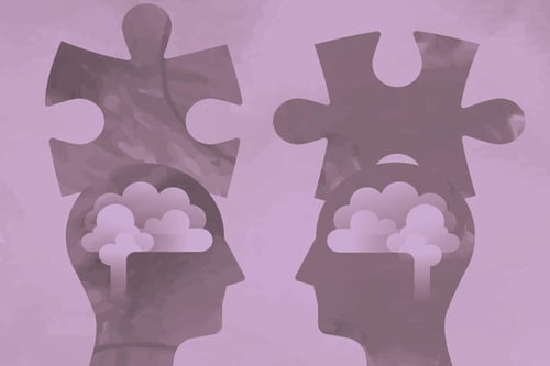 organisational-maturity-and-cultural-competency-in-a-high-performance-school-large